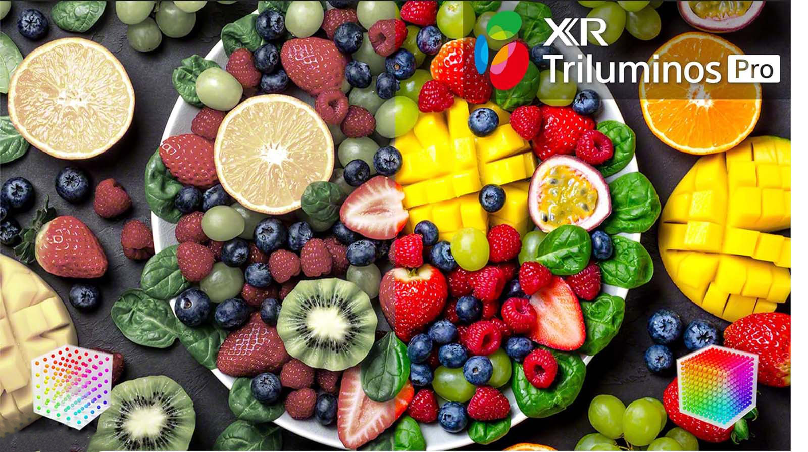 تلویزیون سونی مدل X90K 19 میلیون ها رنگ واقعی در تلویزیون سونی